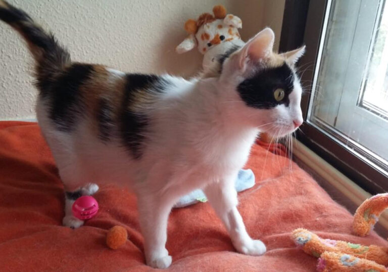 multimedia-foto49875-521-1