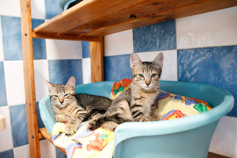 multimedia-foto49891-897-1