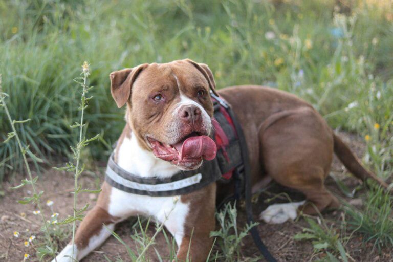 multimedia-foto49972-609-1