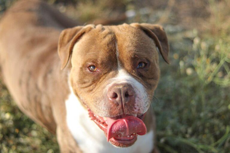 multimedia-foto49973-610-1