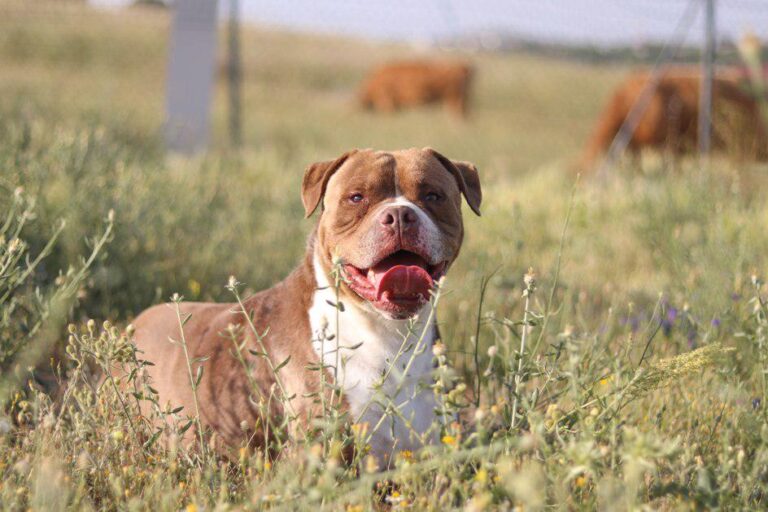 multimedia-foto49974-610-1