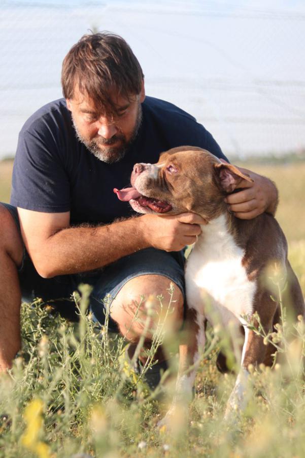 multimedia-foto49975-610-1