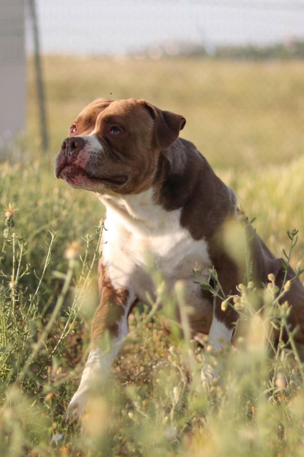 multimedia-foto49976-610-1