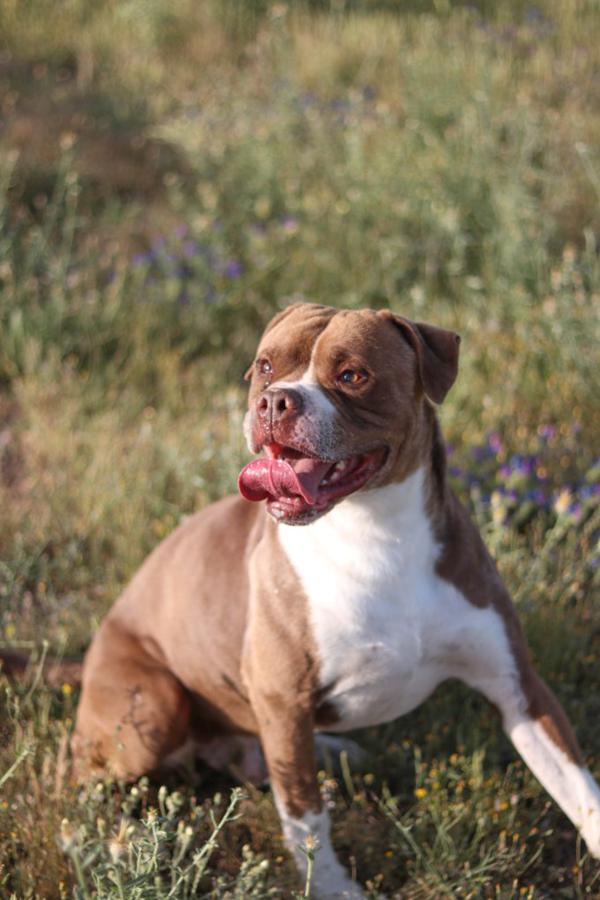 multimedia-foto49977-611-1