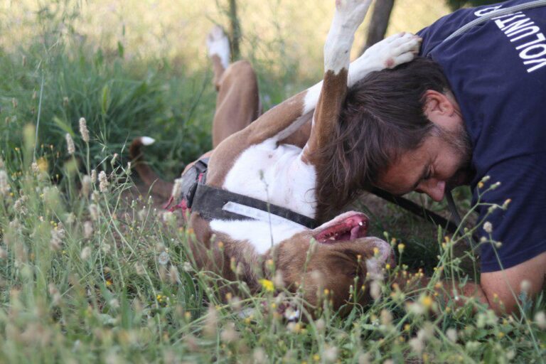 multimedia-foto49979-632-1