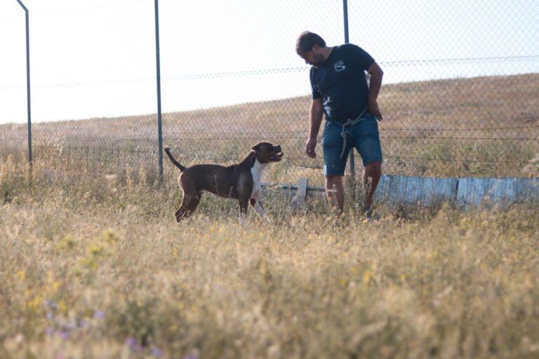 multimedia-foto49980-633-1