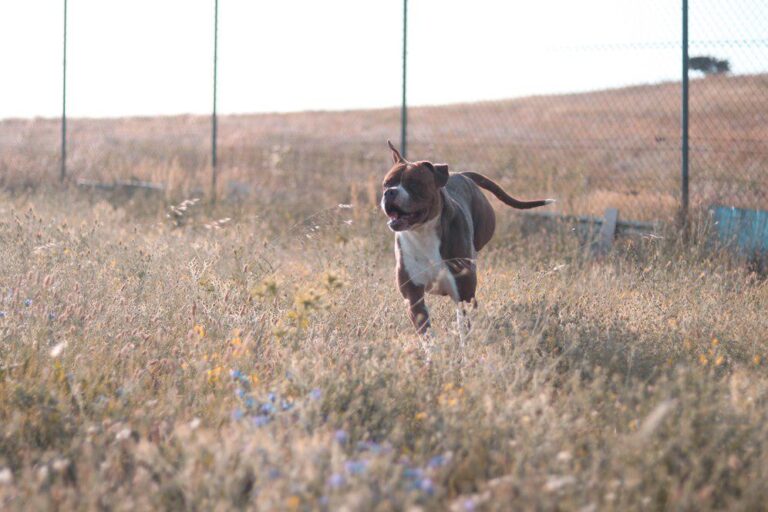 multimedia-foto49981-633-1