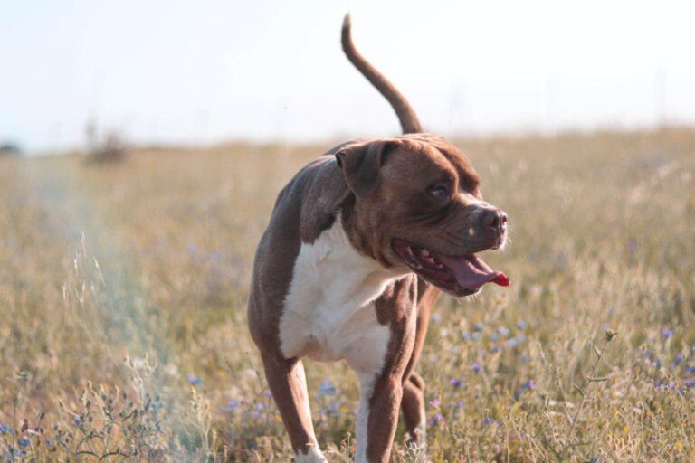 multimedia-foto49982-633-1