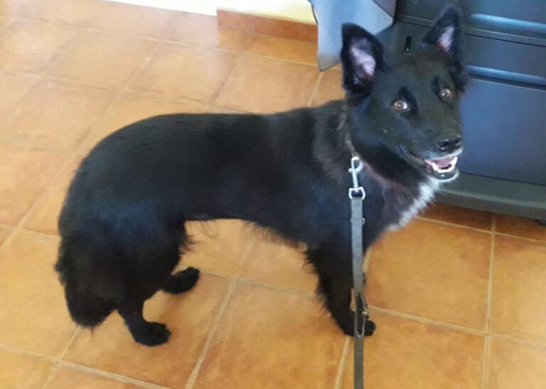 multimedia-foto49983-769-1