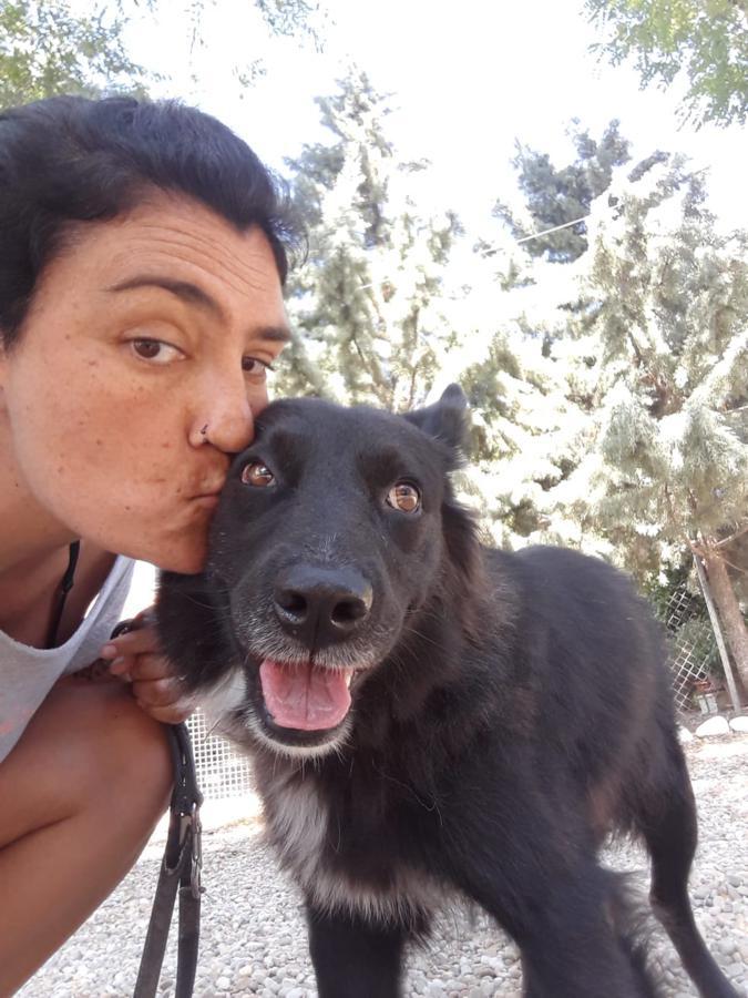 multimedia-foto49984-770-1