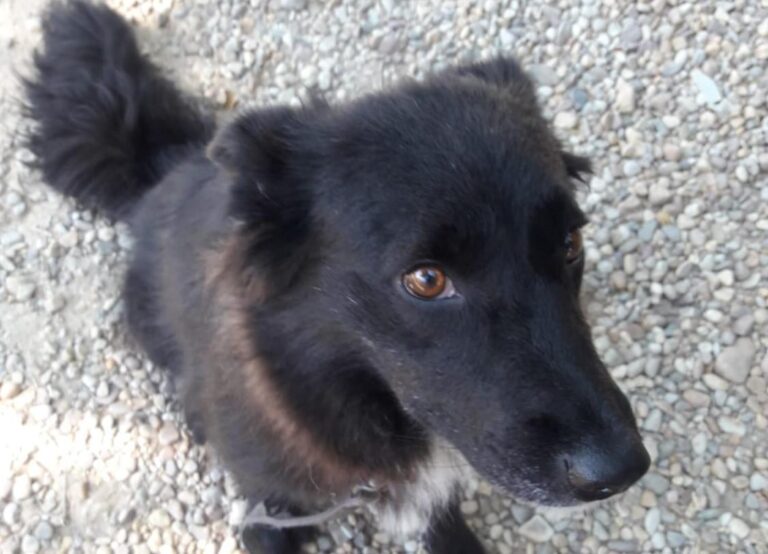 multimedia-foto49985-770-1