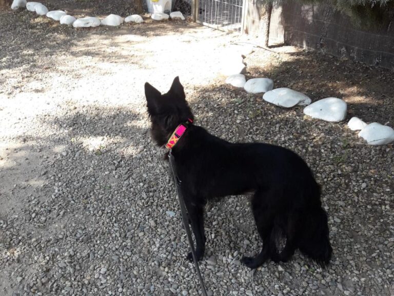 multimedia-foto49986-771-1