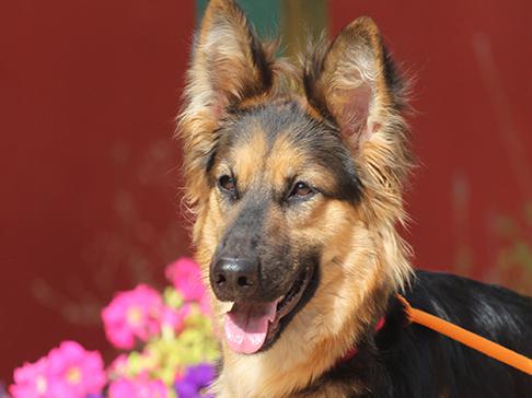 multimedia-foto49999-1-1