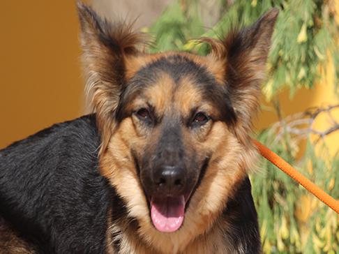 multimedia-foto50000-1-1