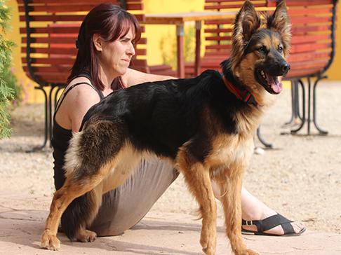 multimedia-foto50001-1-1