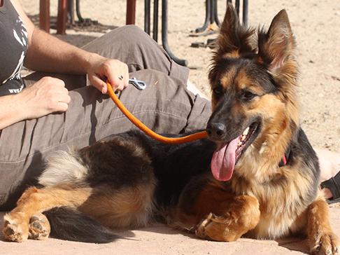 multimedia-foto50002-1-1