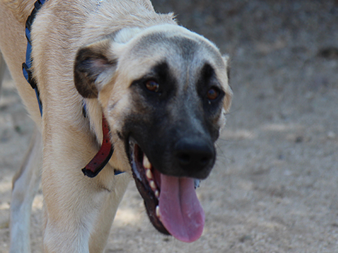 multimedia-foto50004-290-1