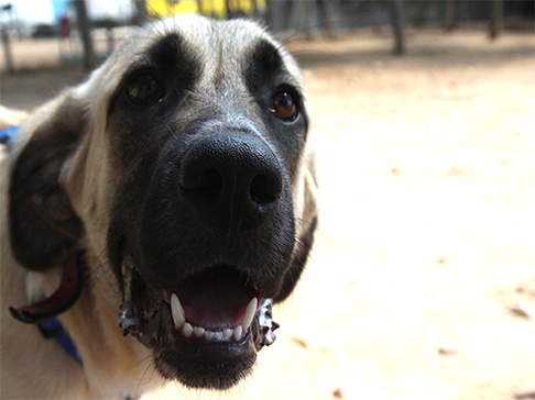 multimedia-foto50005-290-1