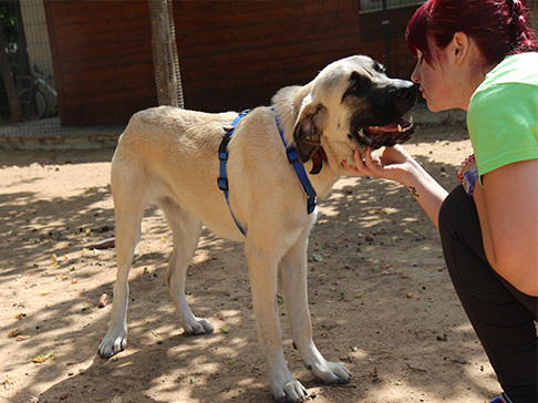 multimedia-foto50006-291-1