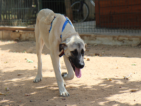 multimedia-foto50007-291-1