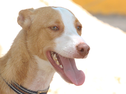 multimedia-foto50008-392-1