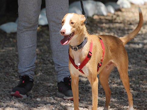 multimedia-foto50009-392-1