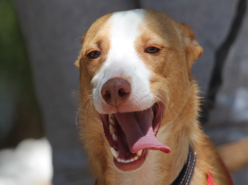 multimedia-foto50010-392-1