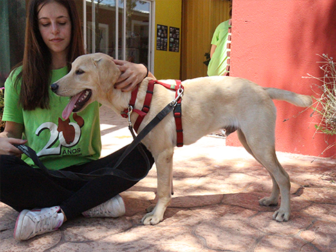 multimedia-foto50041-222-1