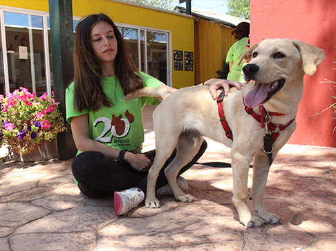 multimedia-foto50042-222-1