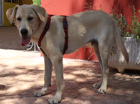 multimedia-foto50043-222-1