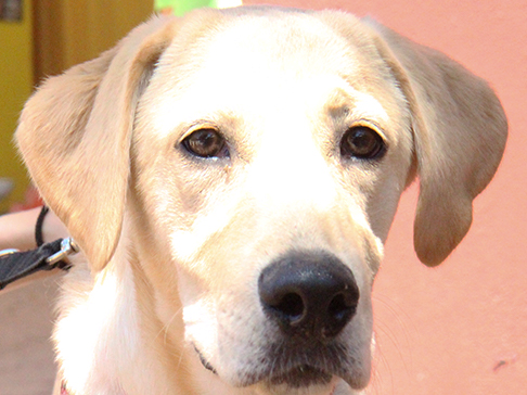 multimedia-foto50044-222-1