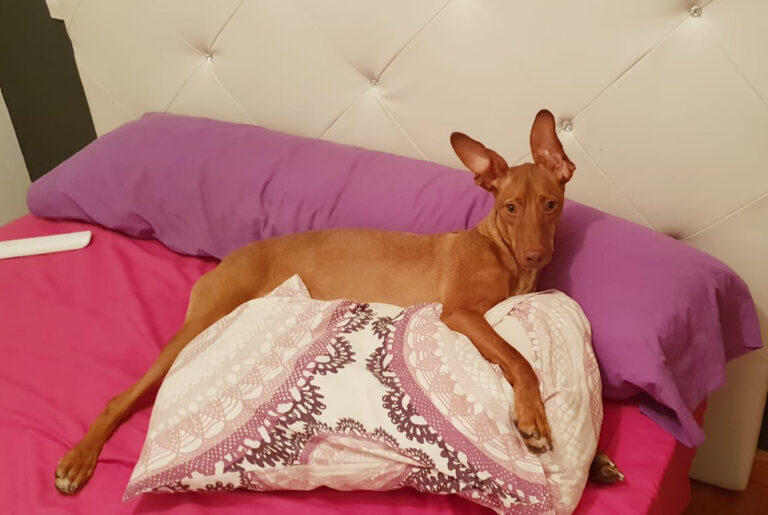 multimedia-foto50045-304-3