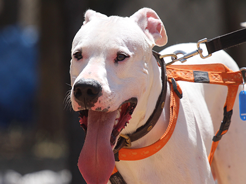 multimedia-foto50050-866-1