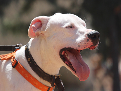 multimedia-foto50051-866-1