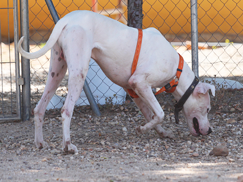 multimedia-foto50052-866-1