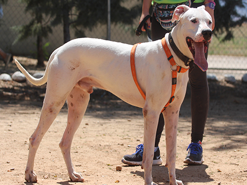 multimedia-foto50053-866-1