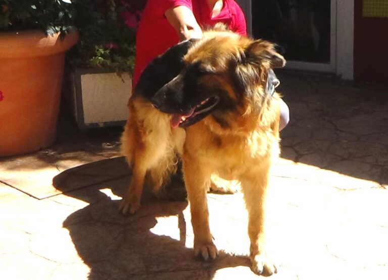 multimedia-foto50055-545-1