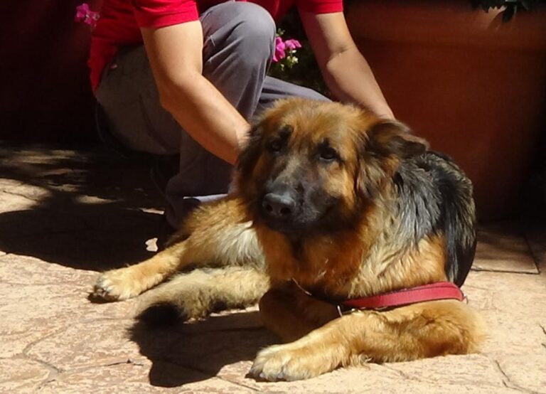 multimedia-foto50056-545-1