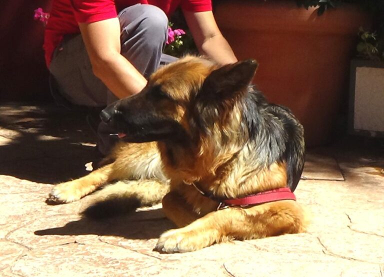 multimedia-foto50057-545-1