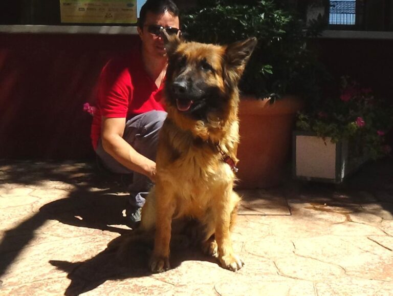 multimedia-foto50058-545-1