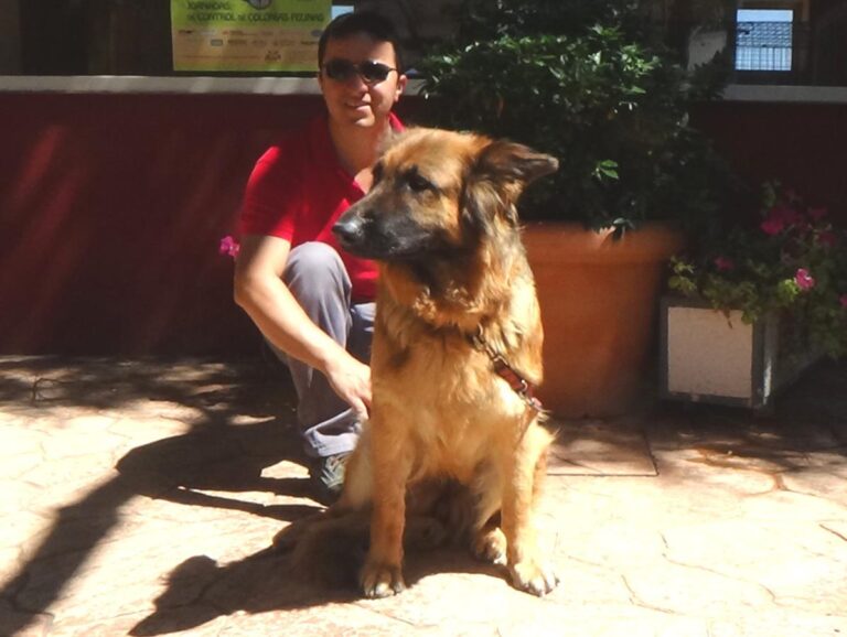 multimedia-foto50059-546-1