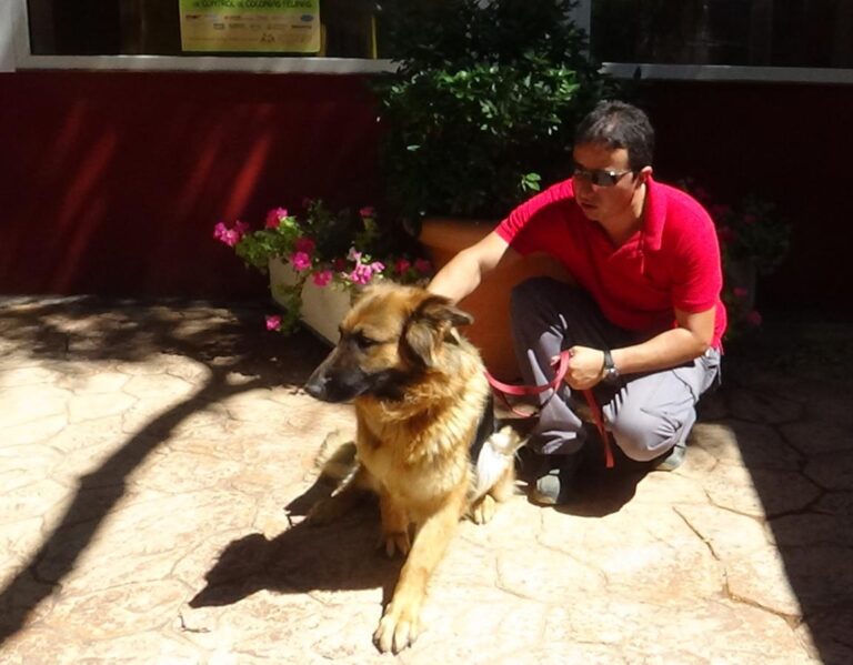 multimedia-foto50060-546-1