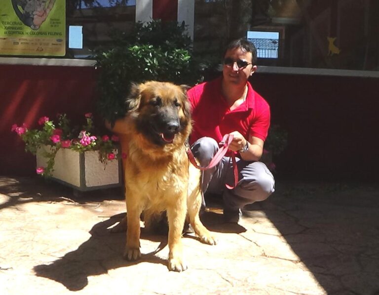 multimedia-foto50061-546-1