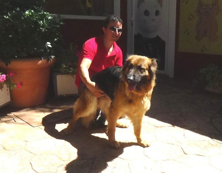 multimedia-foto50062-546-1