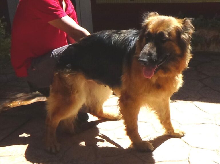 multimedia-foto50064-547-1