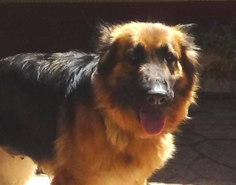 multimedia-foto50065-547-1