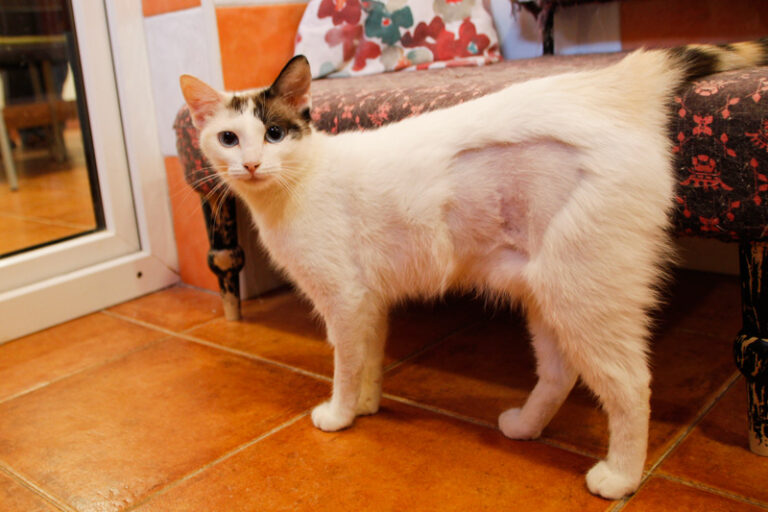 multimedia-foto50082-610-1