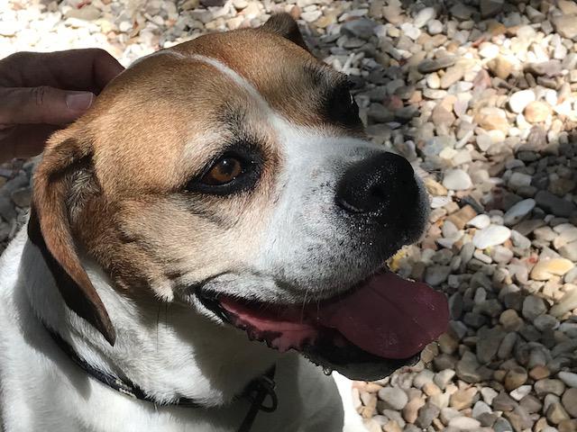 multimedia-foto50085-32-1