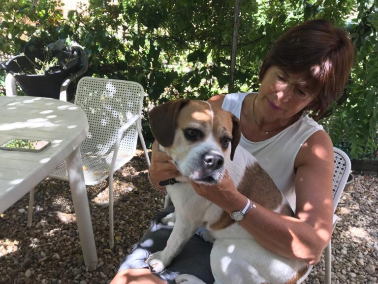 multimedia-foto50086-32-1