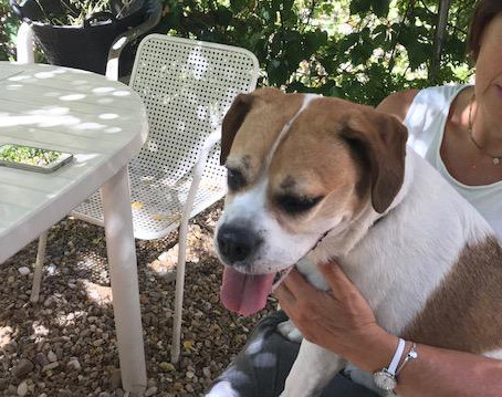 multimedia-foto50087-32-1